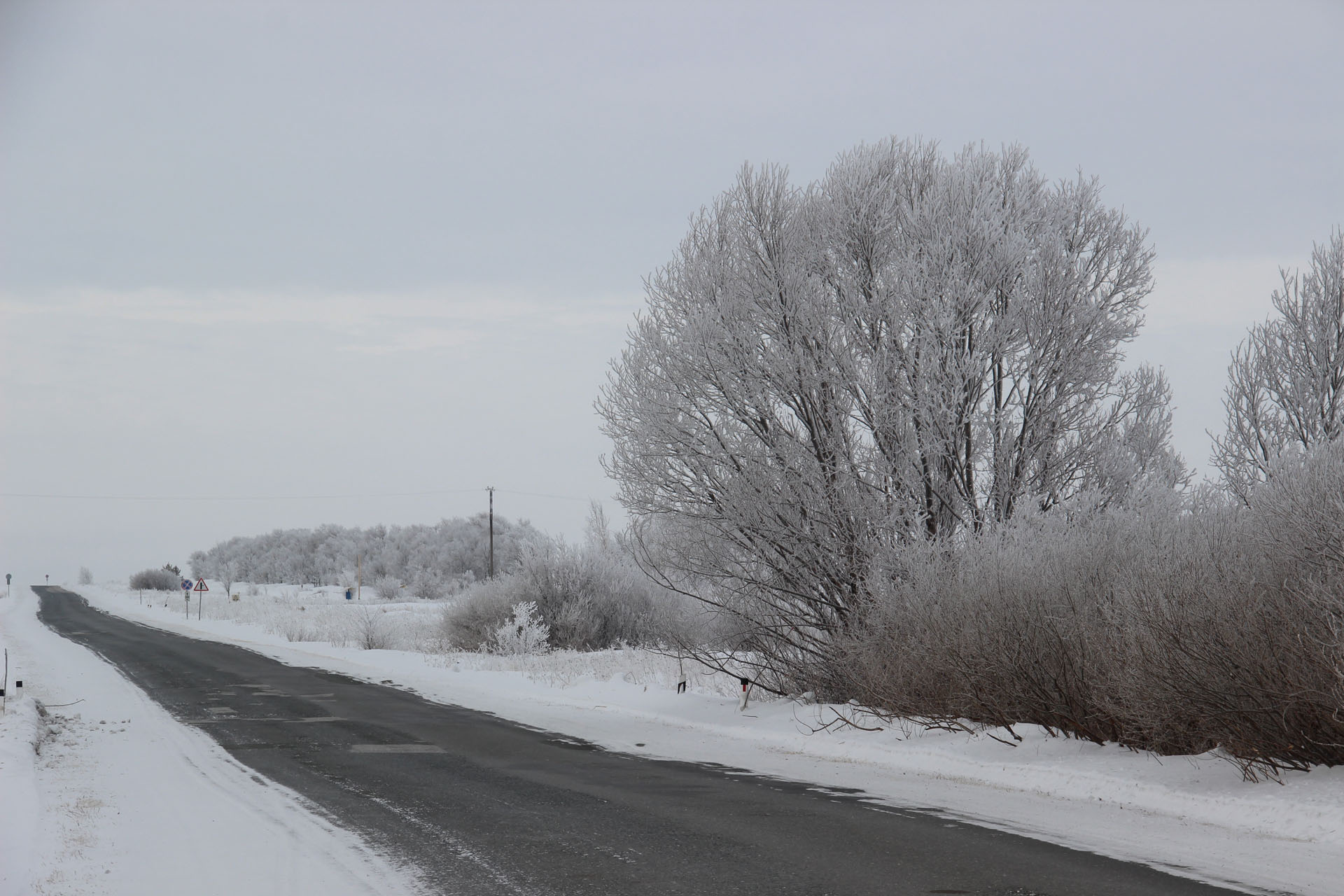 Погода терпя. Снежное утро. Село Курсавка зимой. Дороги Карталы. Погода картинки.