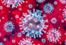 Сводка о коронавирусе