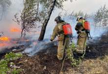 На границе Карталинского и Варненского районов произошёл ландшафтный пожар
